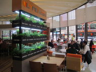 LYFE Kitchen | Evanston Ill_lyfe eva 042914 3 thumb